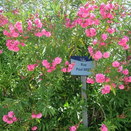 Port Avec Loggia Et Acces Plages A Pieds * Fréjus